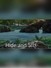 Hide and Seek on PC (Steam) Hide and Seek