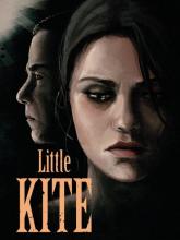Little Kite on PC (Steam) Little Kite