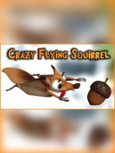 Crazy Flying Squirrel on PC (Steam) Crazy Flying Squirrel