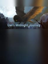 Owl's Midnight Journey on PC (Steam) Owl's Midnight Journey