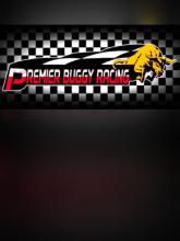 Premier Buggy Racing Tour on PC (Steam) Premier Buggy Racing Tour
