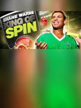 King of Spin VR on PC (Steam) King of Spin VR