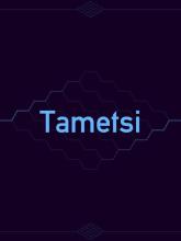 Tametsi on PC (Steam) Tametsi
