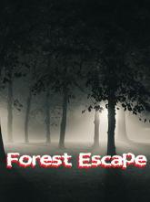 Forest Escape on PC (Steam) Forest Escape