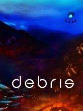 Debris