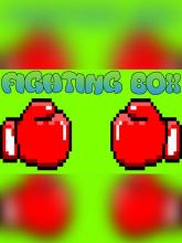 Fighting Box