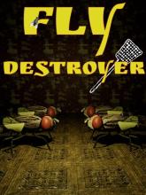 Fly Destroyer on PC (Steam) Fly Destroyer