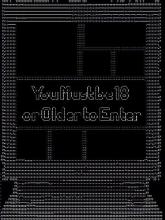 You Must be 18 or Older to Enter on PC (Steam) You Must be 18 or Older to Enter