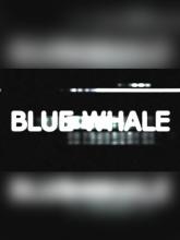 Blue Whale