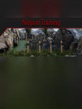 Ninja in Training on PC (Steam) Ninja in Training