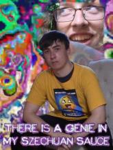 There is a Genie in My Szechuan Sauce
