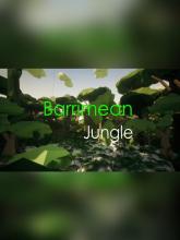 Barrimean Jungle