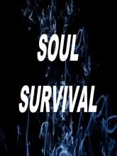 Soul Survival on PC (Steam) Soul Survival