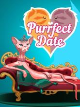 Purrfect Date on PC (Steam) Purrfect Date