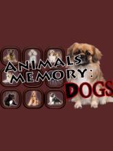 Animals Memory: Dogs on PC (Steam) Animals Memory: Dogs