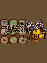 Animals Memory: Insect on PC (Steam) Animals Memory: Insect
