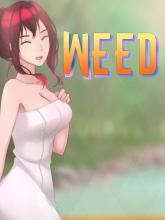WEED on PC (Steam) WEED