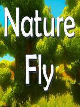 NatureFly on PC (Steam) NatureFly