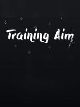 Training aim on PC (Steam) Training aim