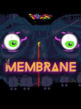 Membrane on Nintendo Network Membrane