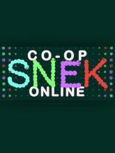 Co-op SNEK Online