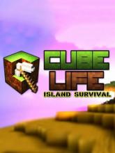 Cube Life: Island Survival