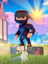 Mad Dojo on PC (Steam) Mad Dojo