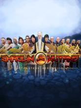 Shaolin vs Wutang on PC (Steam) Shaolin vs Wutang