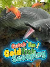 Catch 'Em! Goldfish Scooping on Nintendo Network Catch 'Em! Goldfish Scooping