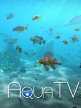 Aqua TV on PlayStation Network Aqua TV