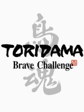 TORIDAMA: Brave Challenge on Nintendo Network TORIDAMA: Brave Challenge
