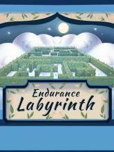 Endurance Labyrinth on PC (Steam) Endurance Labyrinth