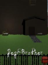 Dear Brother