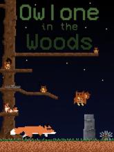 Owlone in the Woods