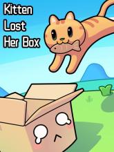Kitten Lost Her Box