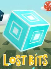 lost bits