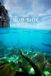 Subside