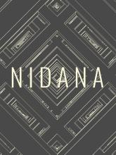 NIDANA on PC (Steam) NIDANA