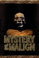 Mystery of the Malign on PC (Steam) Mystery of the Malign