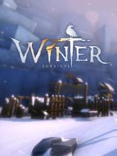 Winter Survival on PC (Steam) Winter Survival