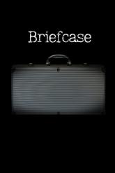 Briefcase 