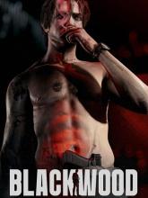 Blackwood on PC (Steam) Blackwood