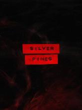 Silver Pines on PC (Steam) Silver Pines